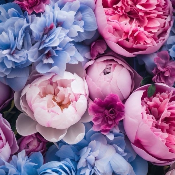 Meet your Posher, Anndria - Picture 4 of 5